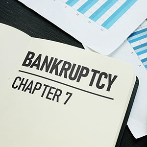 Notebook titled 'BANKRUPTCY CHAPTER 7' with charts, for Hagerstown, MD attorney.
